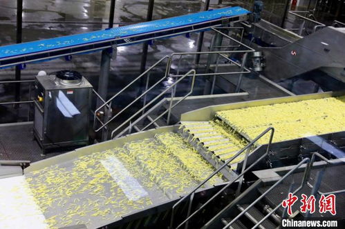 宁夏固原20亿马铃薯项目落成 实现年加工冷冻马铃薯制品超19万吨